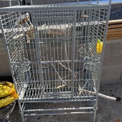 Bird Cage