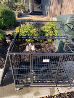 Dog crate