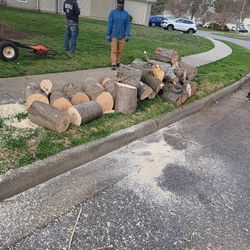 Free Firewood Oak and Maple   949 B  Shoal  Creek  Tr Chesapeake 