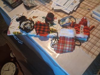Bearded Dragon Costume Accessories Bundle