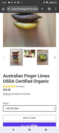 Finger Lime fruit