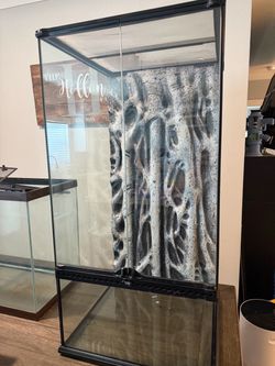 Exo Terra 18” × 18” × 36” Glass Terrarium