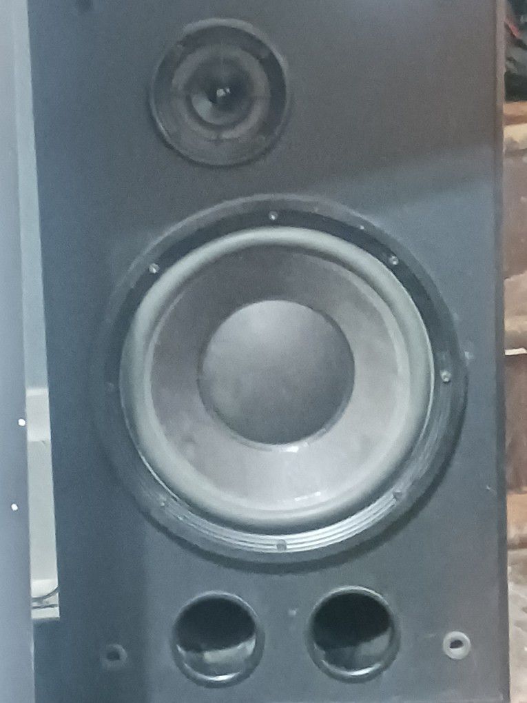 Bose Floor Speakers 