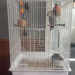 Bird Cage
