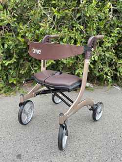 Adult walker