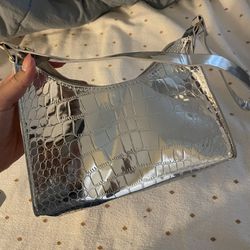 Silver/ Metallic Bag  