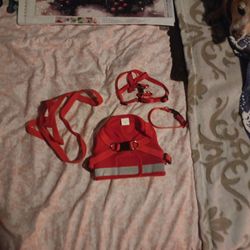 Small Dog Harssen Set 