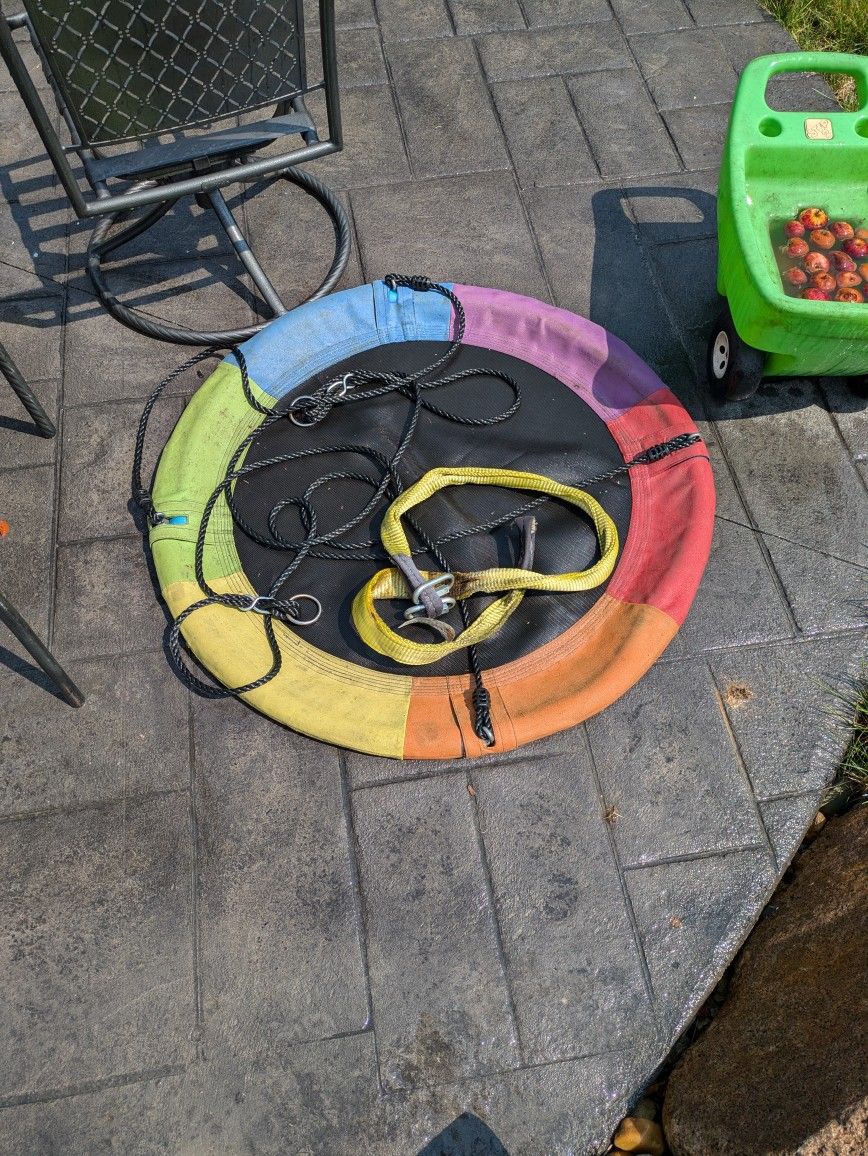 Free Saucer Swing