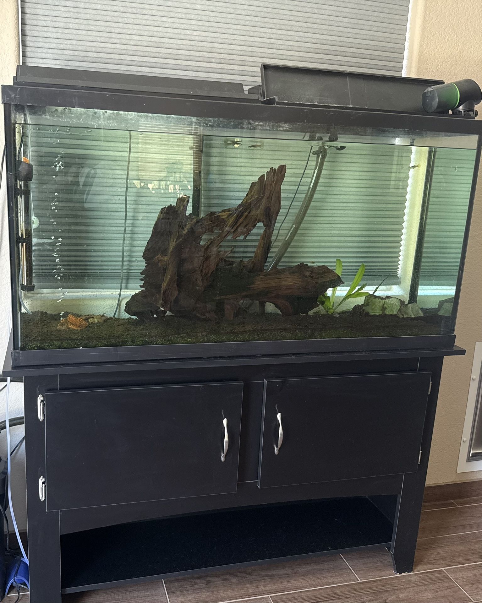 60 Gallon Fish Tank With Stand And Accessories