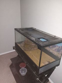 40 Gallon Terrarium