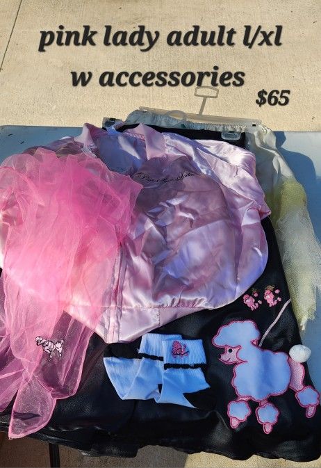 Pink Lady Halloween Costume