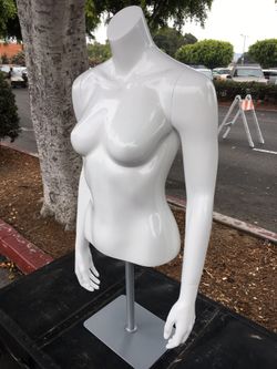 Female Mannequins Table Display