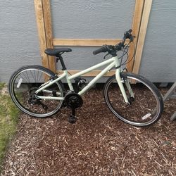 REI Rev City Mountain Bike 24” Kids