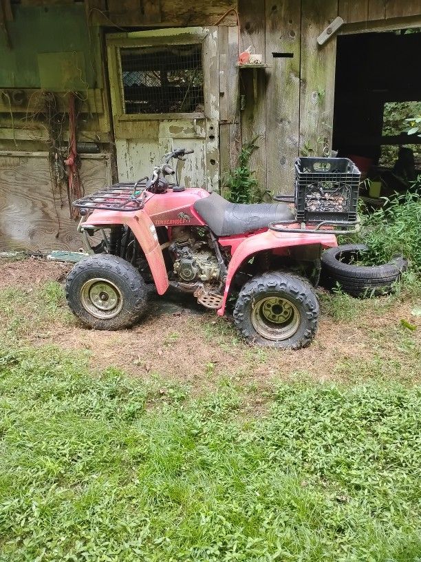 Timberwolf 4 Wheeler Runs Good