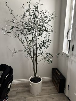 Threshold Studio By McGee Olive Tree