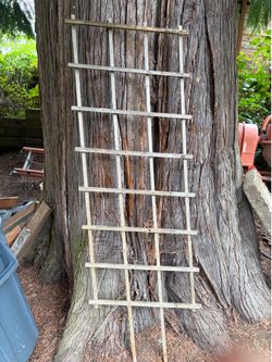 Free trellis