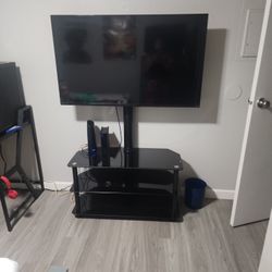 Vizio 42" Tv With Tv Stand