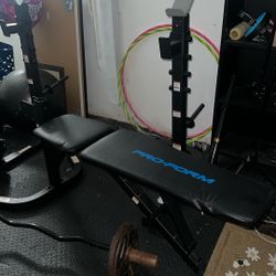 Weight Bench
