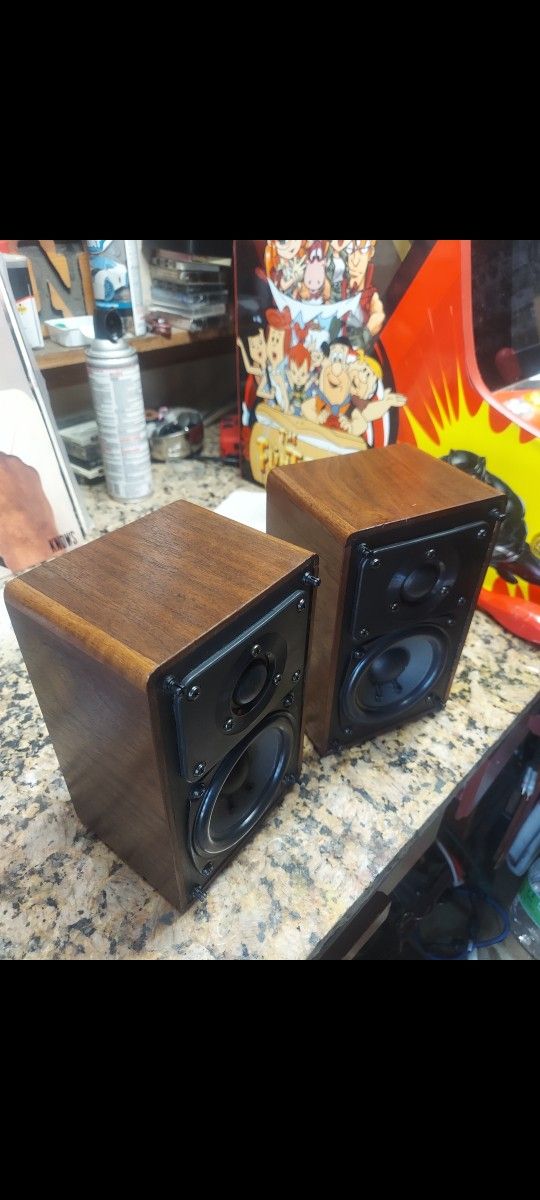 Realistic Vintage Speakers