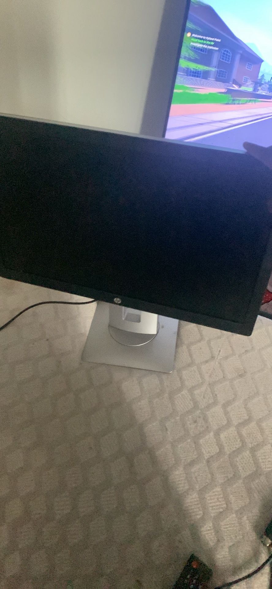 HP Monitor