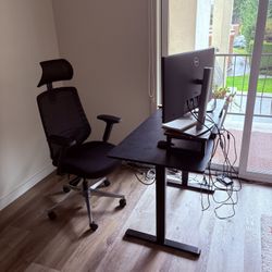 Ergonomic Adjustable Desk