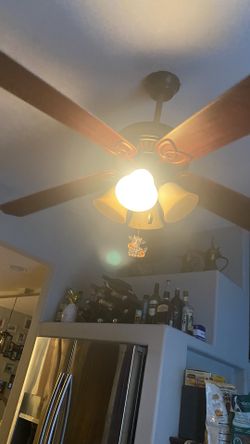 52in Ceiling Fan W/lights