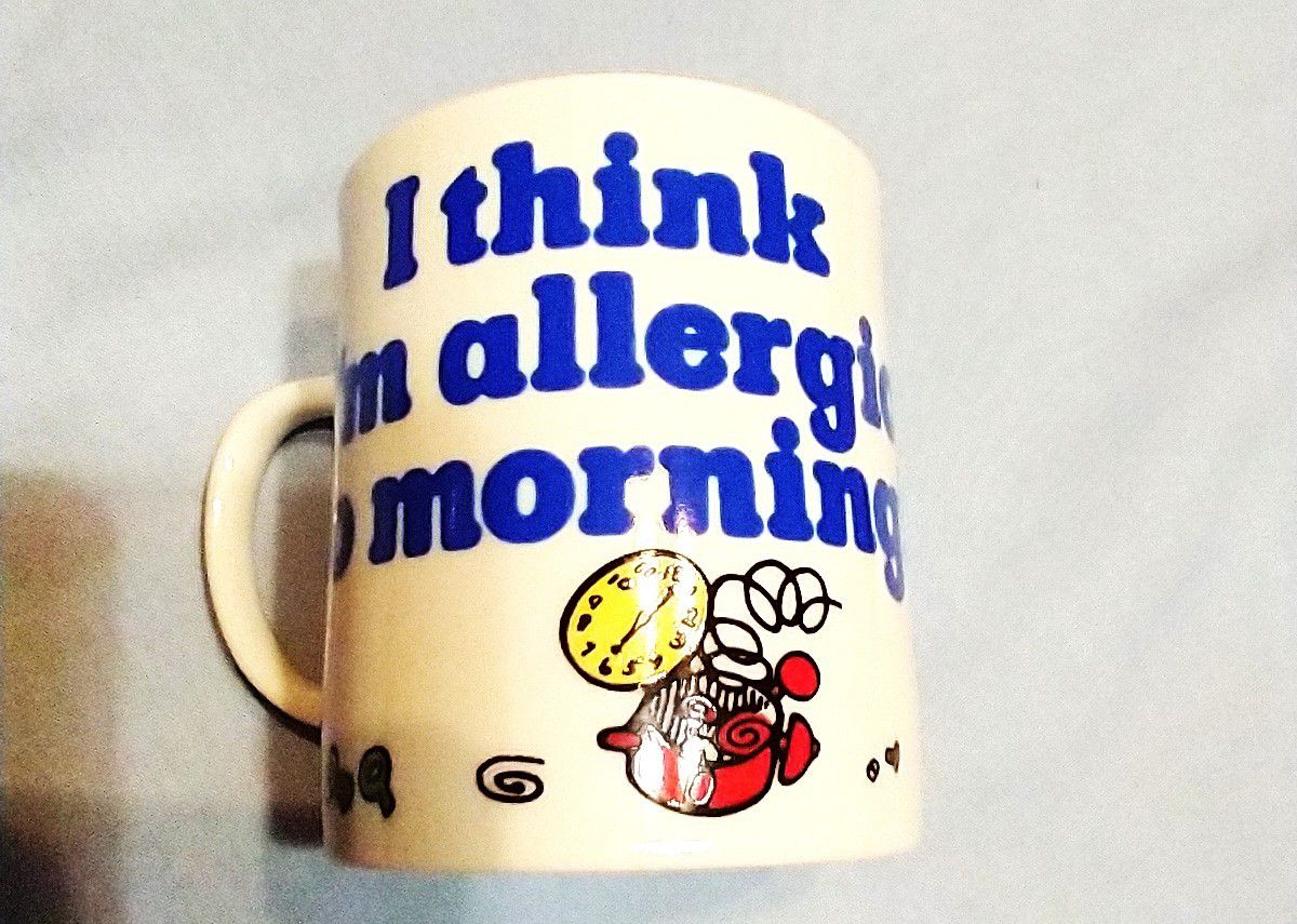 

Snoopy Mug Allergic to Mornings 3.5” high x 3” diameter--
