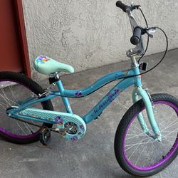 Schwinn Bike
