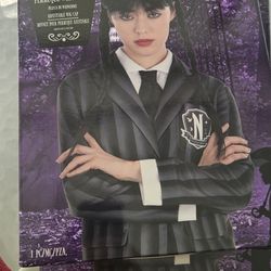 Wednesday Adult Wig
