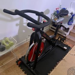 Sunny Health & Fitness Indoor Cycling Bike SF-B1002