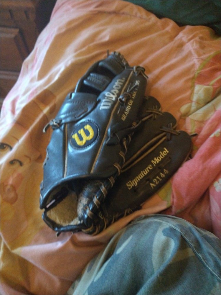 Baseball Glove