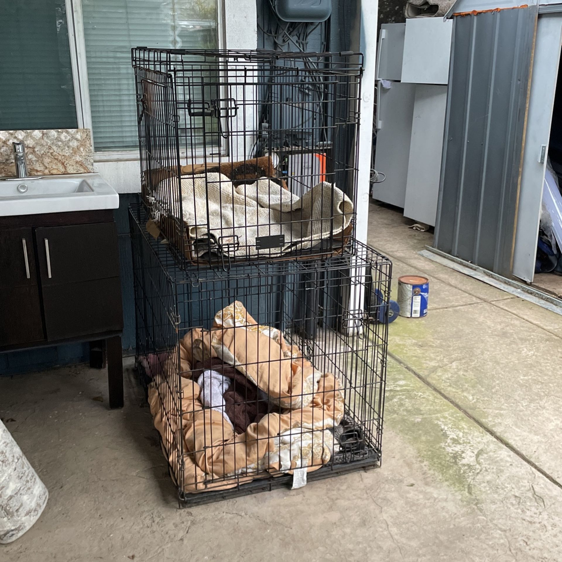 Dog Camels (large)$80ea