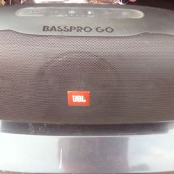 JBL BassPro Go