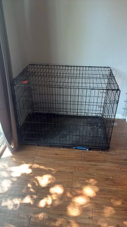 Large dog crate