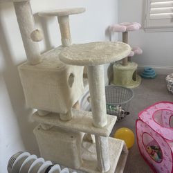 Cat Towers And Litter Box And Toys