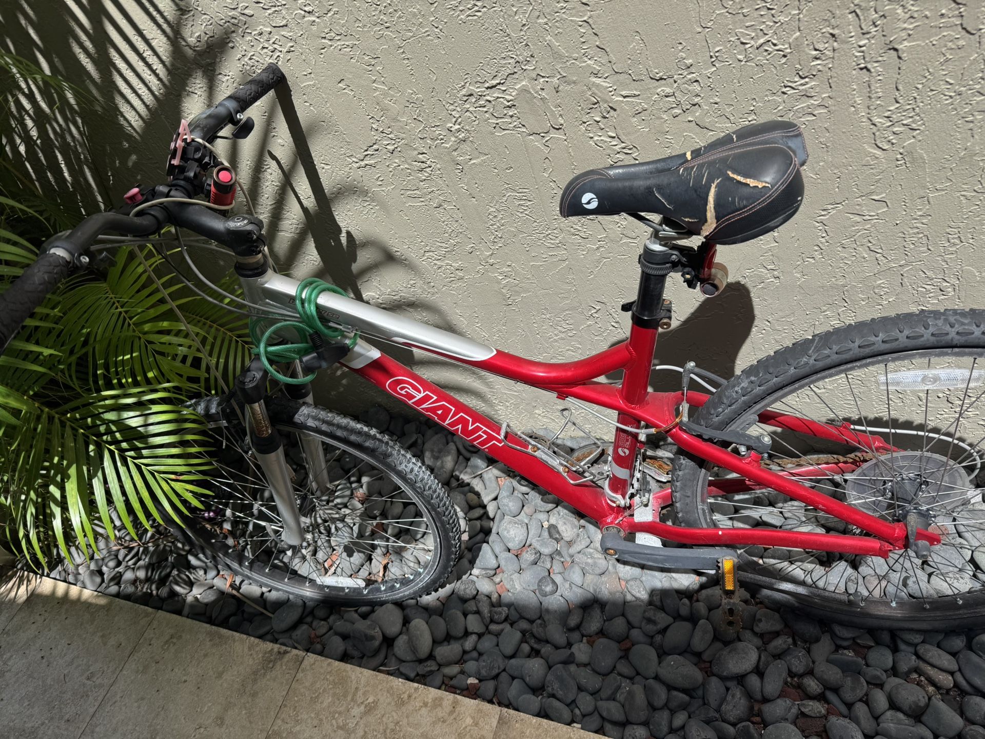 Giant bike