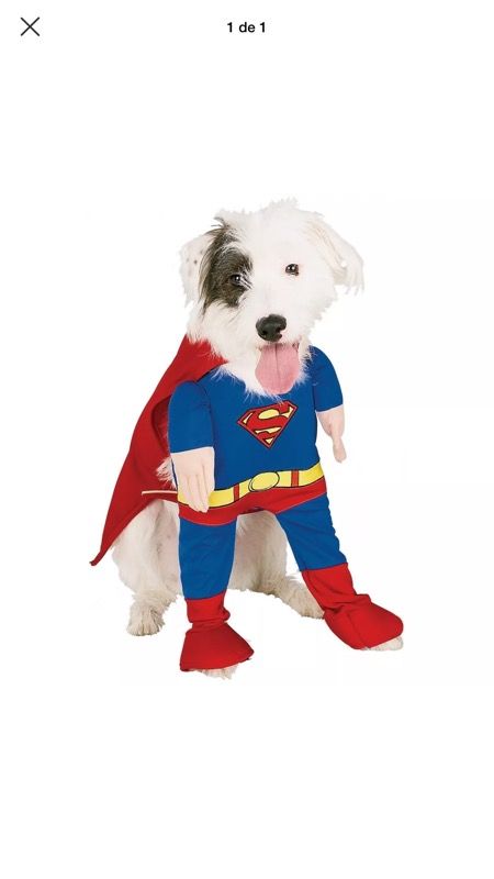 Halloween costume