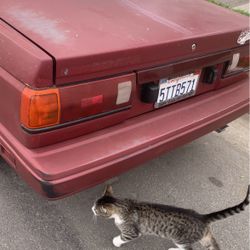 1990 Nissan Sentra