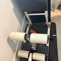 Multi-Functional Sissy Squat and Hip Thrust Machine