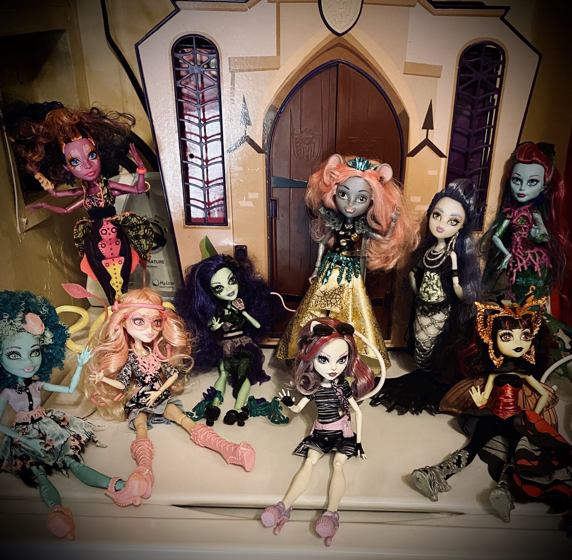 Monster high dolls in like new condition