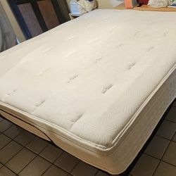 Night Therapy 12” Euro Box Top Pocket Spring Hybrid King Mattress