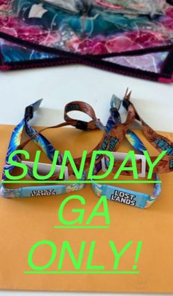 Lost Lands Music Festival 2025 (SUNDAY ONLY GA)- $200 Each