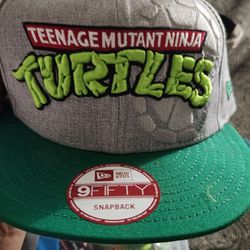 Teenage mutant ninja turtles TMNT New Era 9fifty 2014 snapback