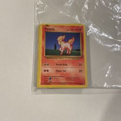Xy Evolution Bulk 
