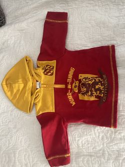 Harry Potter Gryffindor Little Boys Hoodie