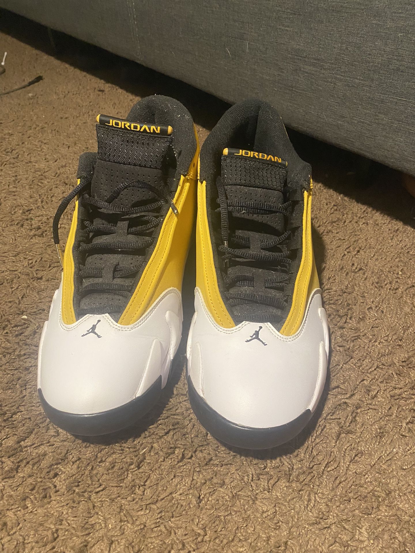 Jordan 14 Ginger