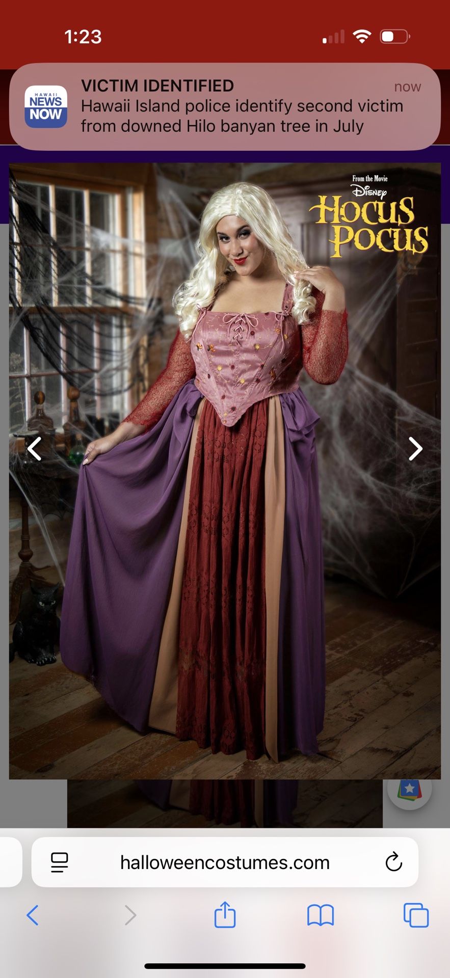 Sarah Sanderson Costume