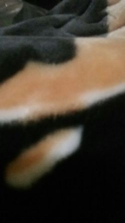 Looking for a atat phone