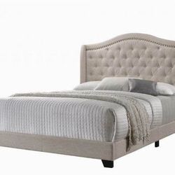 Brand New Beige Tufted Bed with Nailhead Trims — All Sizes