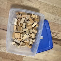 Tub Of Toy Wood Building Blocks